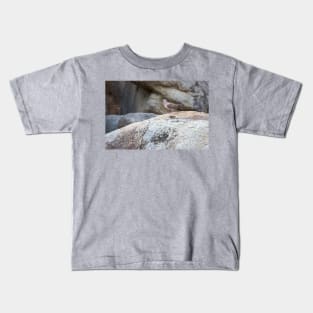 Eared Dove at Casibari Aruba Kids T-Shirt